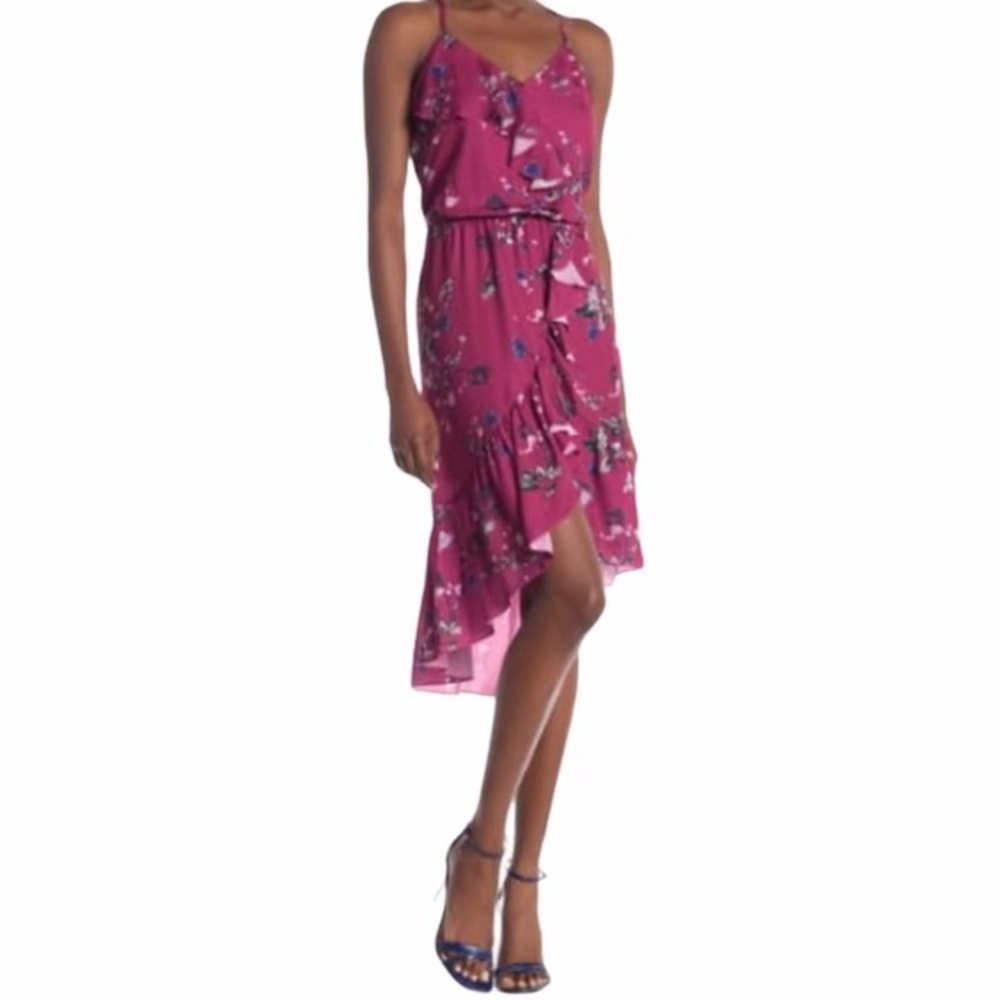 Parke Delfina Hi-Lo Dress